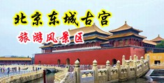 和骚货操逼中国北京-东城古宫旅游风景区